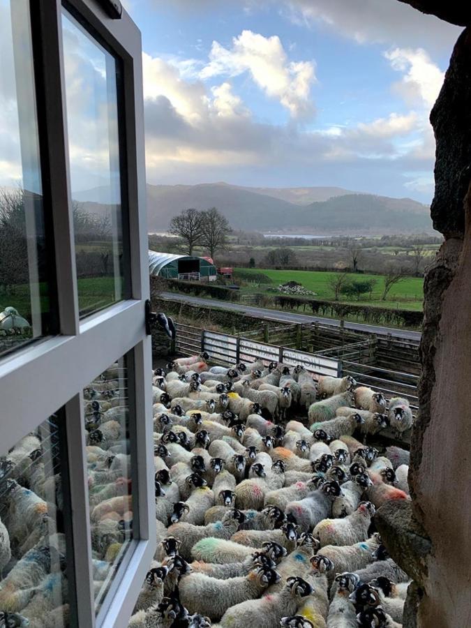 Highside Farm Bed & Breakfast Bassenthwaite Exterior photo