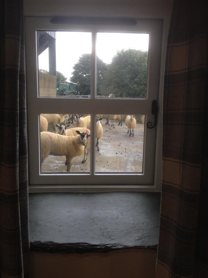 Highside Farm Bed & Breakfast Bassenthwaite Exterior photo